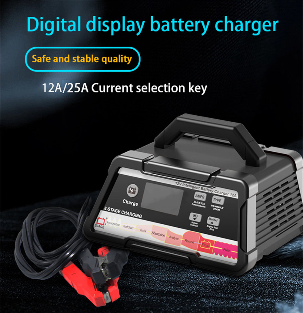 12v car Battery charger (2)